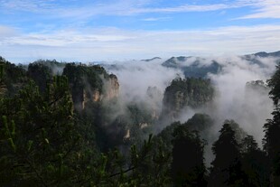 张家界奇峰云海壮丽景观