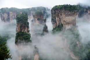云雾缭绕的张家界奇峰