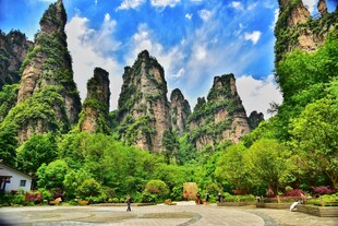 奇峰异石间的翠绿山林