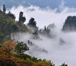 云雾缭绕的奇峰美景