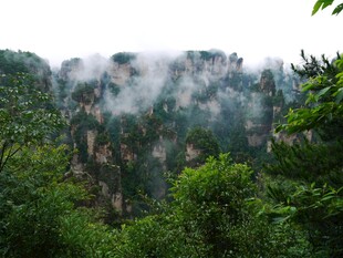 云雾缭绕的山林美景
