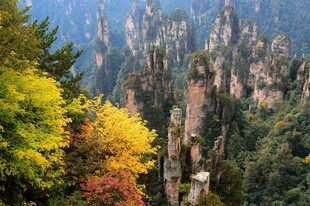 秋日张家界奇峰美景