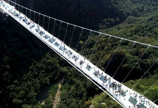 高空索桥横跨翠绿山谷