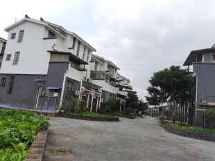 现代风格联排住宅外观