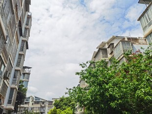 城市楼间绿树成荫景象