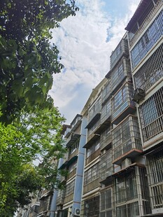 老旧居民楼外绿树相伴