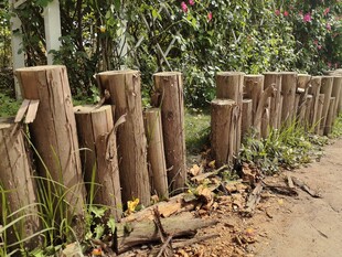木桩围栏自然质朴景致