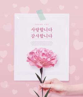 手捧粉色康乃馨的温馨画面