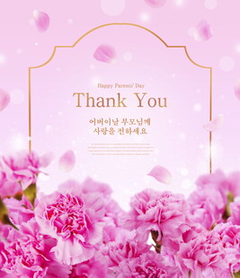 粉色康乃馨感恩背景图