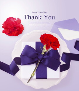 感恩礼盒配康乃馨