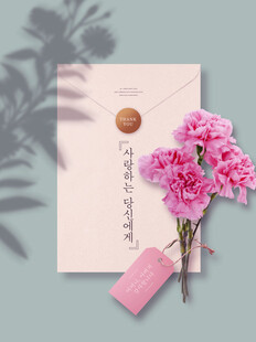 粉色康乃馨与信封浪漫组合