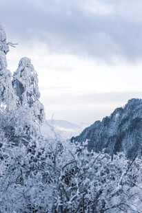 雪覆山峦冬日山林景致