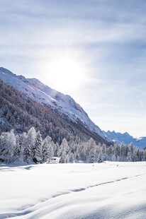 冬日雪山雪景纯净风光