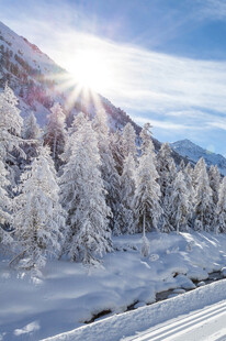 冬日雪山间的阳光雪景