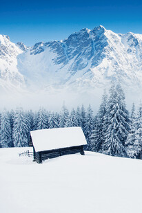 雪覆山林间的静谧小屋