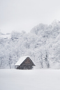 雪覆小屋静谧冬日景象