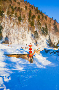 冬日雪景中的红色鸟居