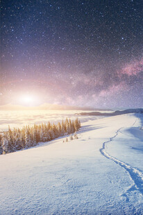 雪野星空下的静谧之路