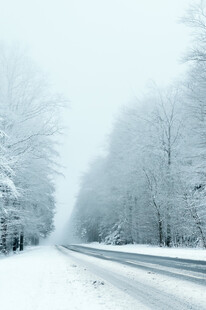 冬日雪覆公路美景