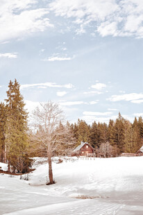 冬日雪林小屋风景