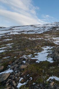 雪山草地风景图