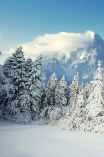 冬日雪景中的山林与远山