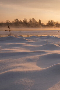 冬日雪野的静谧美景