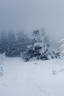 雪覆山林美景