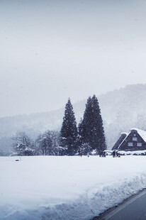 冬日雪景中的静谧村落