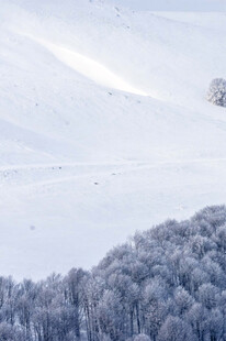 雪覆山林的冬日美景