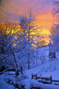 冬日雪后夕阳下的静谧景致