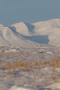 冬日雪覆原野景观