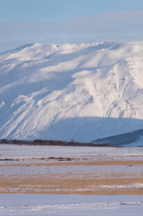 雪山下的广袤原野