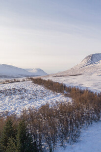 冬日雪景中的山林风光