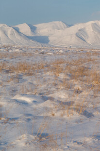 雪覆荒原远方山峦景色