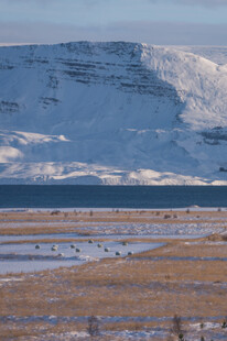 雪山下的开阔旷野风光
