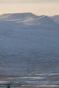 雪山下的开阔平原景观