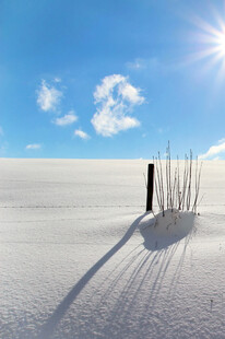 雪地孤影与蓝天暖阳