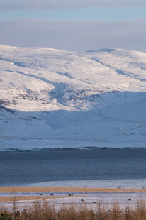 雪山下的宁静湖景