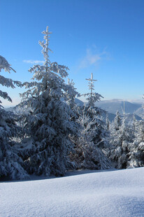 雪覆山林的冬日美景