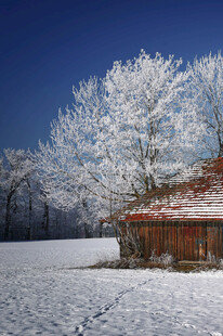 雪覆木屋冬日静谧美景