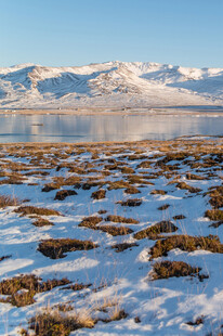 雪覆湿地与远处雪山美景