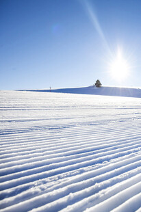 冬日雪野阳光洒落美景