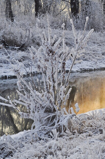 冬日河畔覆雪景致