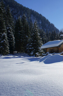 冬日雪景中的静谧小屋