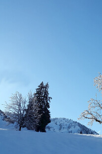 冬日雪景中的树木与山峦