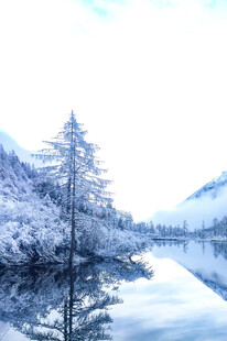 冬日雪景中的静谧湖岸风光