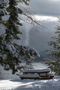 雪覆林间长椅的静谧景致