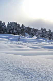 冬日雪景中的静谧雪地