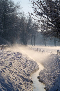 冬日雪中小溪美景
